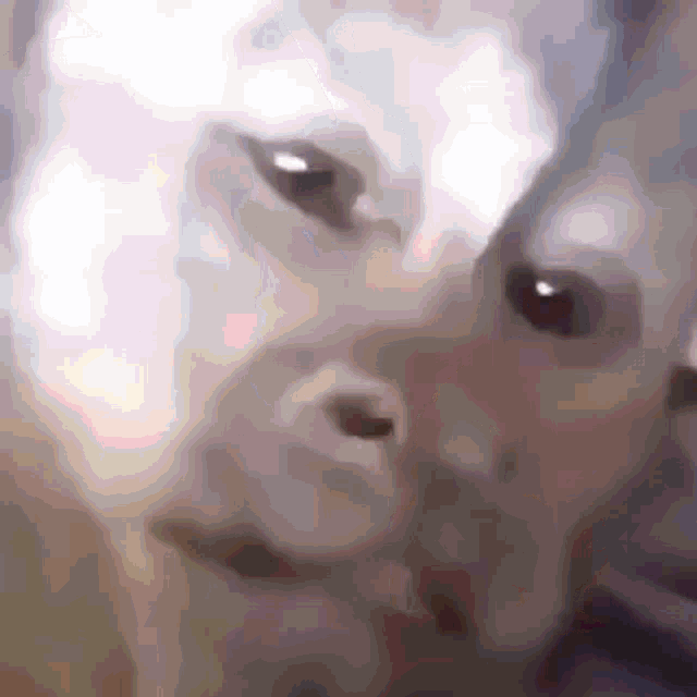 a close up of a person 's face with a dog 's face in the background .