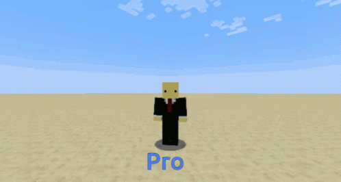 Pro Minecraft GIF - Pro Minecraft Duck GIFs