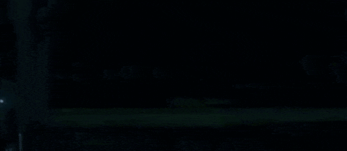 a person is standing in the dark in a forest .