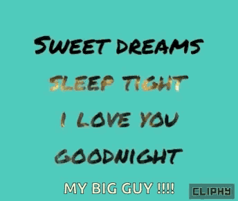 sweet dreams sleep tight i love you goodnight my big guy