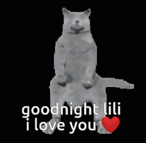 Lili Goodnight GIF - Lili Goodnight Love You GIFs