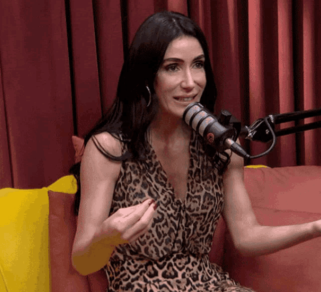 a woman wearing a leopard print dress is sitting in front of a microphone