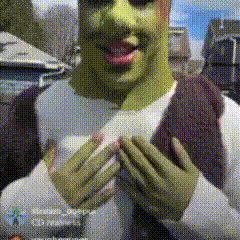 a shrek costume is being worn by a person