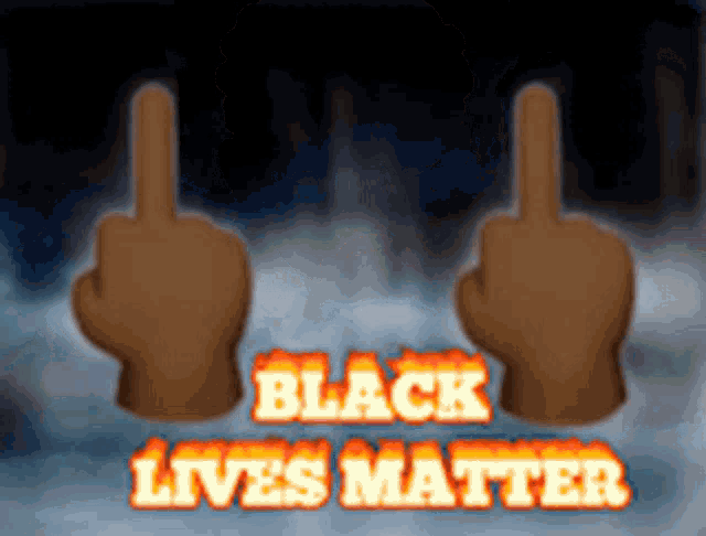 a sign that says " black lives matter " with two middle fingers up