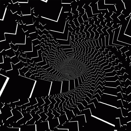 a black and white optical illusion that looks like a maze