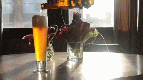 Beer Day Ipa Day GIF - Beer Day Ipa Day Happy Beer Day GIFs