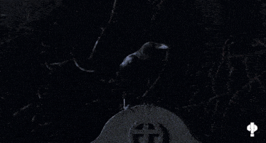 a poster that says what are you like the night watchman with a girl in the background