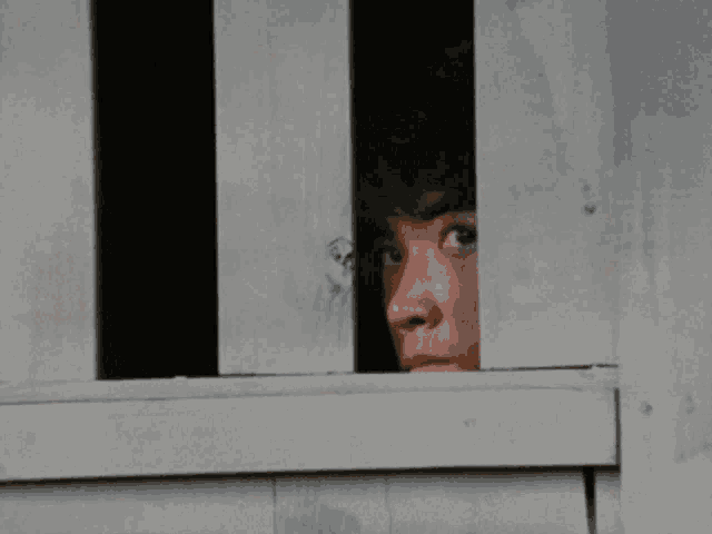 a man is peeking out of a wooden window