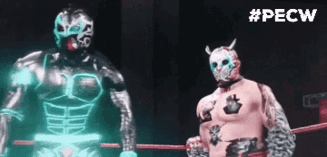 two wrestlers are standing next to each other in a ring with the hashtag #pecw on the bottom right