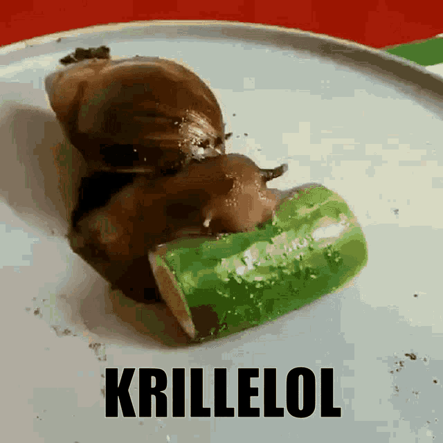a snail is crawling on a cucumber on a plate with the word krillelol written on it