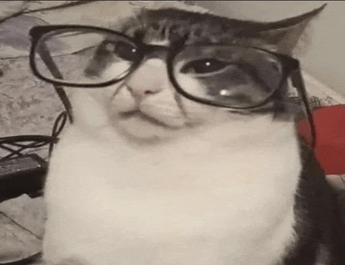 a cat wearing glasses is sitting on a bed and looking at the camera .
