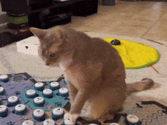 a cat is playing with a board game that has the letter t on it