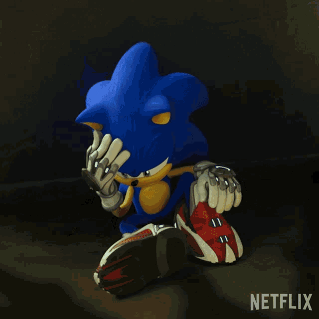 a picture of sonic the hedgehog from netflix is shown