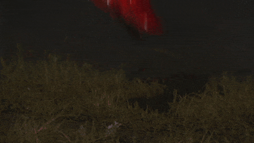 a blurred image of a person 's torso with a red light coming out of it