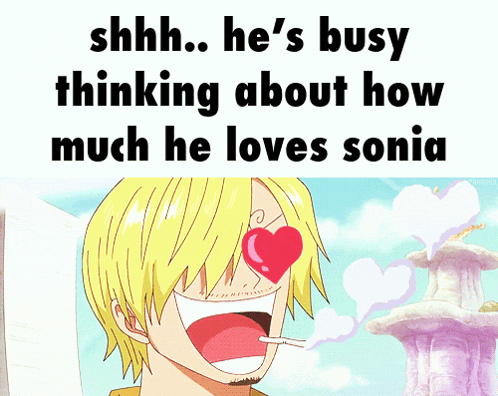 shhh he 's busy thinking about how much he loves sonia with a picture of sanji