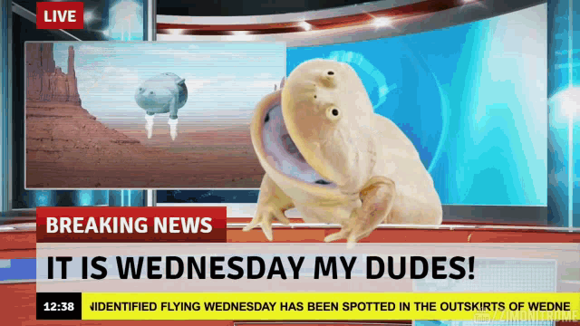 Breaking News Frog GIF - Breaking News Frog It Is Wednesday My Dudes GIFs