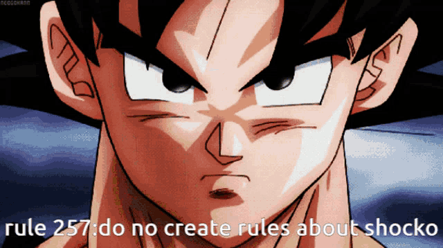 a close up of a cartoon character with rule 257 do no create rules about shocko