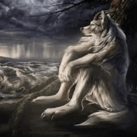 a couple of wolves sitting next to each other on a rock
