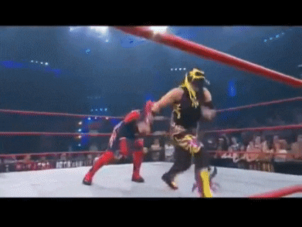a couple of wrestlers are fighting in a ring .