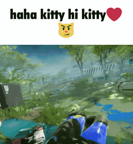 a screenshot of a video game with the words " haha kitty hi kitty " above it