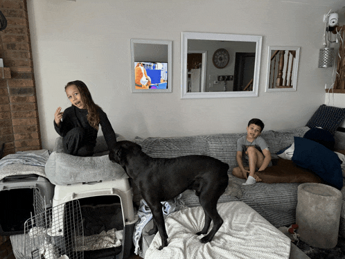 two children and a dog are sitting on a couch in front of a television