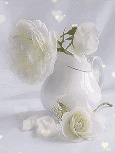 White White Rose GIF - White White Rose Hearts GIFs