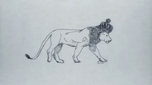 King Lion GIF - King Lion King Of The Jungle GIFs