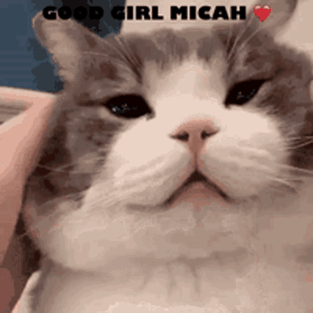 a close up of a cat with the words good girl micah written on it