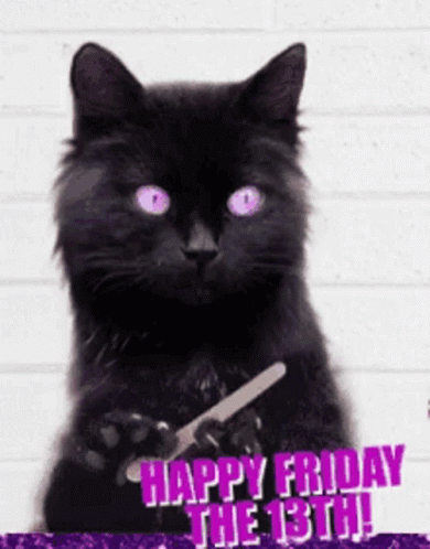 Good Luck On Your Finals Happy Friday The13th GIF - Good Luck On Your Finals Happy Friday The13th Cat GIFs