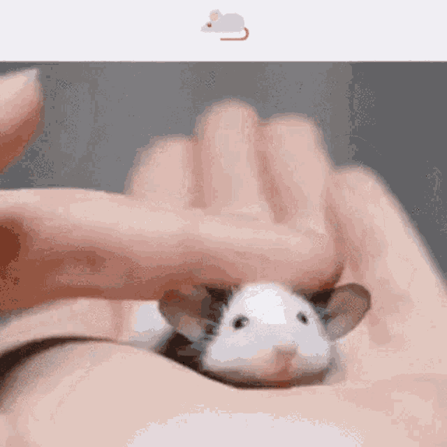 Rat Petting GIF - Rat Petting Cute GIFs