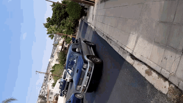 Diplokampino GIF