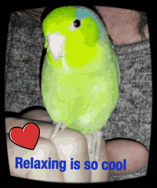 Love Relaxing Is So Cool GIF