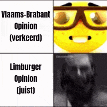 a yellow smiley face with glasses and the words vlaams-brabant opinion and limburger opinion