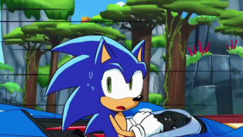 Sonic Err GIF - Sonic Err Ok GIFs