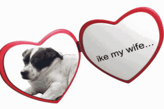 a dog is reflected in a heart shaped mirror with the words ike my wife written on it