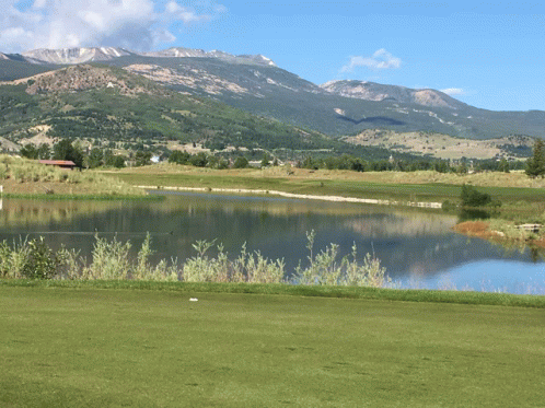 Montana Jack Golf Course GIF - Montana Jack Golf Course GIFs