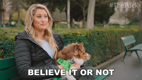 Believe It Or Not Chelsey And Gryffin GIF - Believe It Or Not Chelsey And Gryffin The Pack GIFs