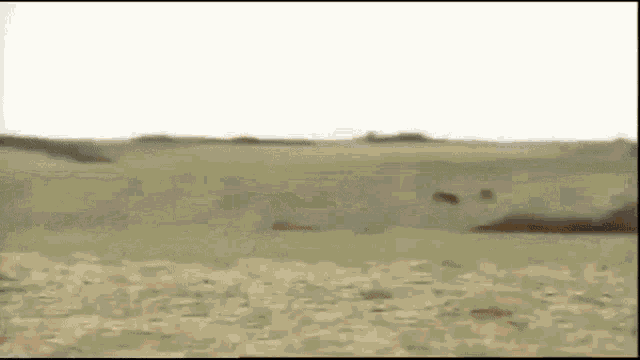 Guy Running From Nuts Nuts GIF - Guy Running From Nuts Nuts Peanuts GIFs