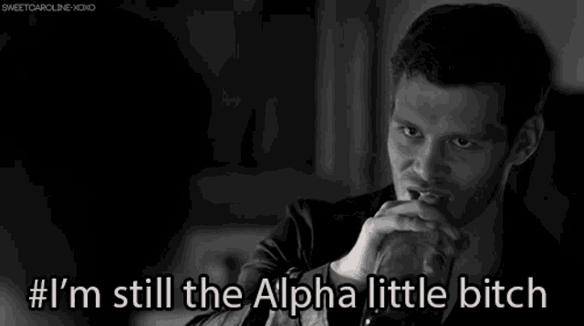 a black and white photo of a man with # i 'm still the alpha little bitch written below him