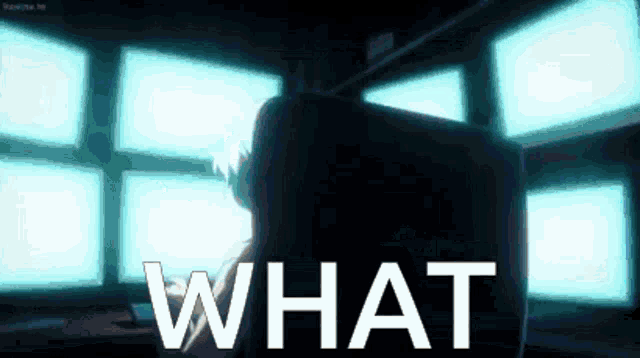 a person is sitting in front of a computer screen with the words what written on it .