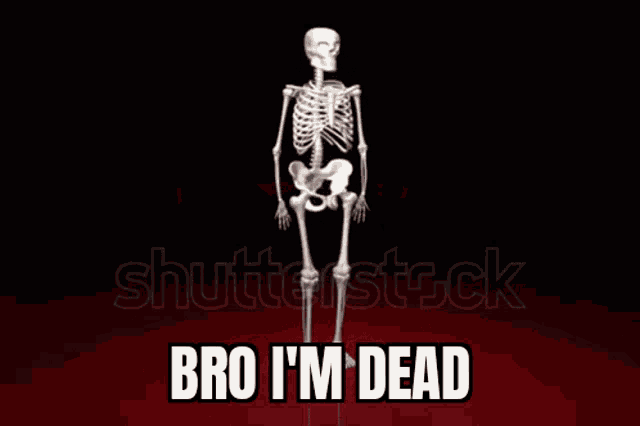Bro Im Dead Skeleton Falling GIF - Bro Im Dead Skeleton Falling Skeleton GIFs