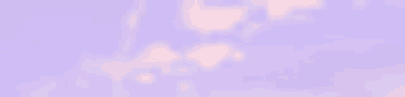 a purple background with a shadow of a tree on the wall .
