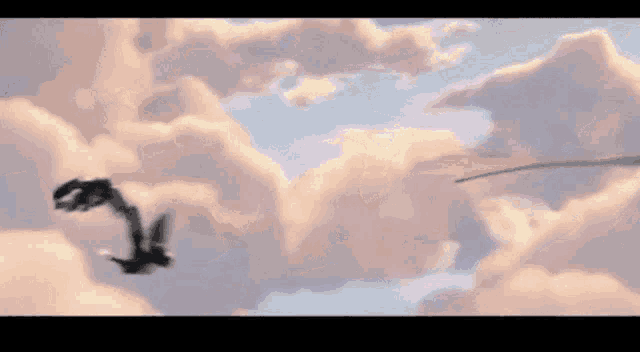 a flock of birds flying in the clouds