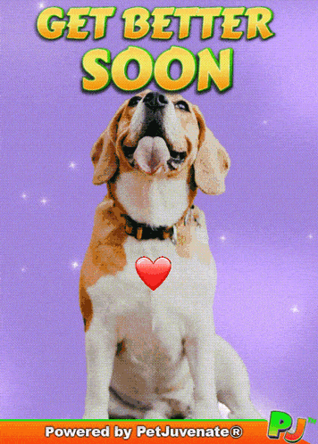 a picture of a dog with the words get better soon written above it