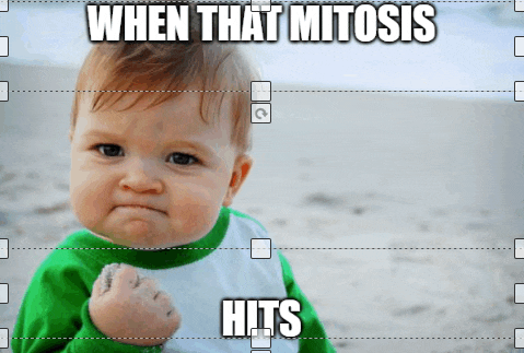 a baby with a fist in the air and the words " when that mitosis hits "