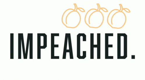 Impeach Impeachment GIF - Impeach Impeachment Impeached GIFs