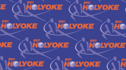 Holyoke Belfeld GIF - Holyoke Belfeld Volleybal GIFs