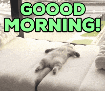 a picture of a cat laying on a bed with the words good morning written above it