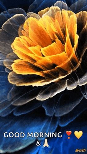 a picture of a yellow and blue flower with the words good morning