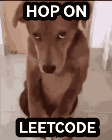 Hop On GIF - Hop On Leetcode GIFs